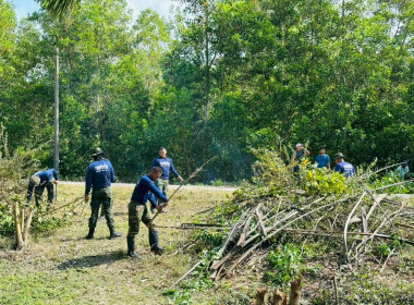 เข้าร่วมโครงการพัฒนาและปรับปรุงภูมิทัศน์ในเขตนิคมสหกรณ์บาเจาะ จังหวัดนราธิวาส ... พารามิเตอร์รูปภาพ 3